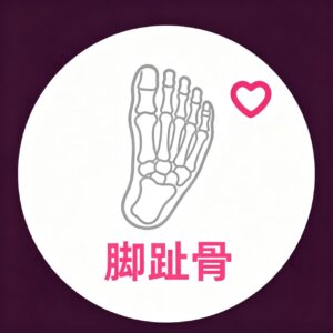 脚趾骨